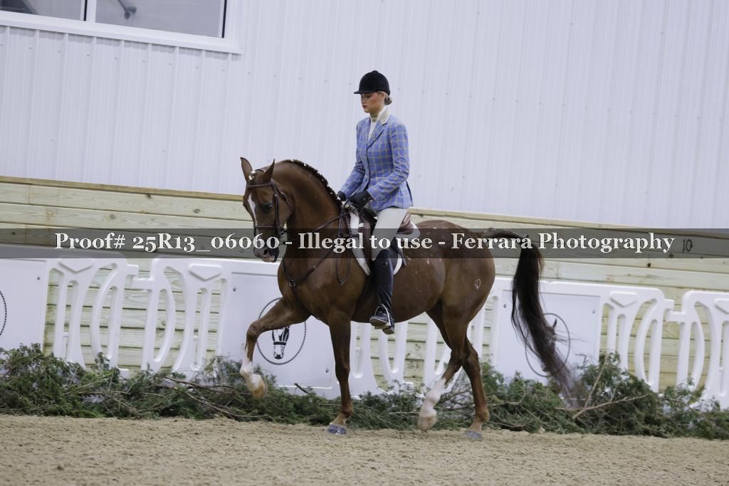 Proof 25R13_06060