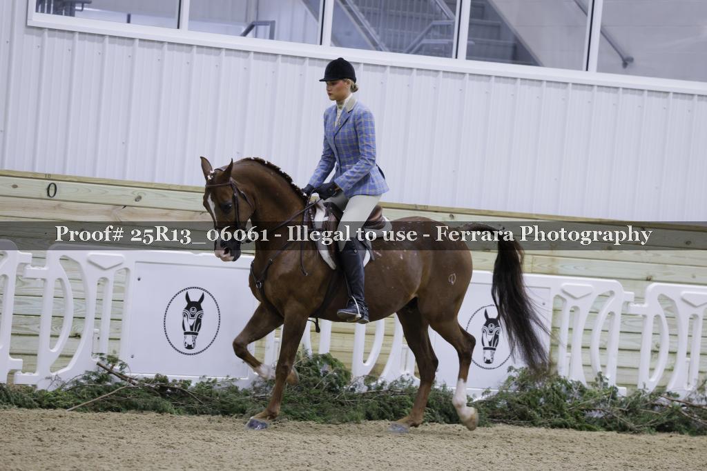 Proof 25R13_06061