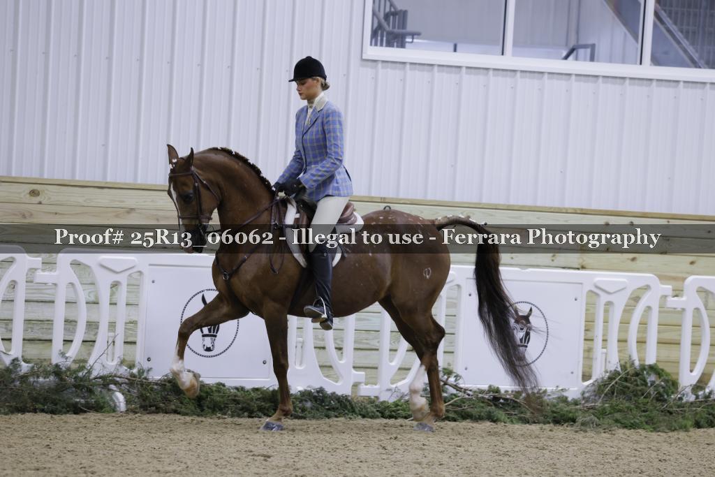 Proof 25R13_06062
