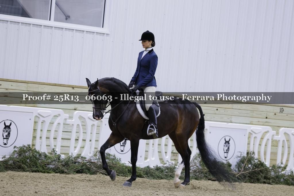 Proof 25R13_06063