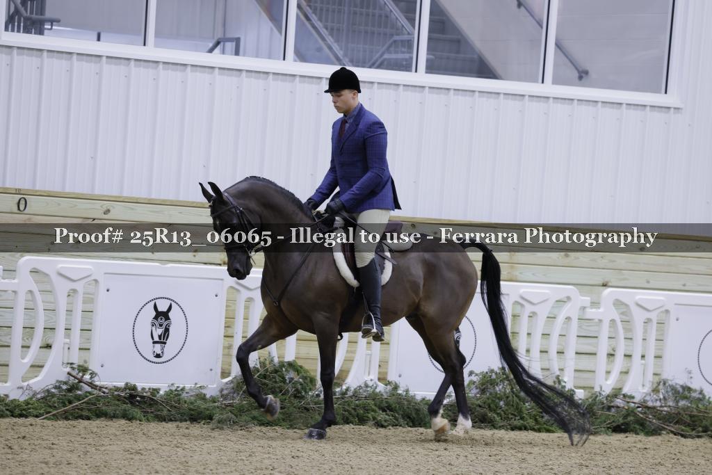 Proof 25R13_06065