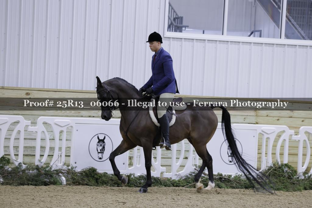 Proof 25R13_06066
