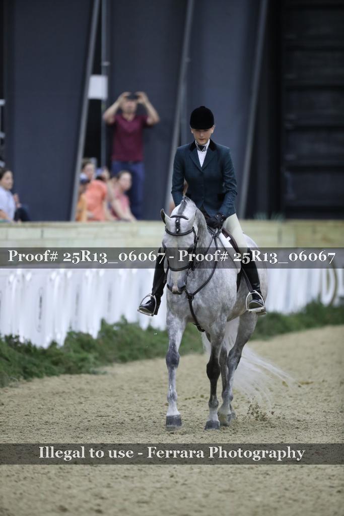 Proof 25R13_06067