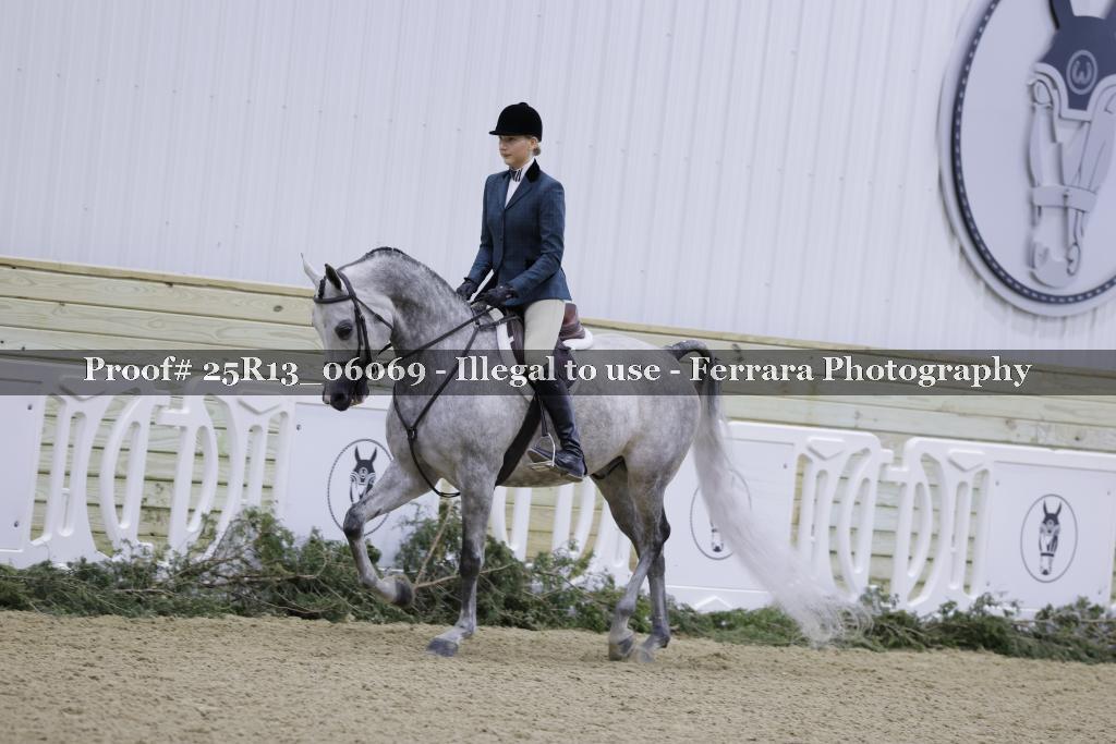 Proof 25R13_06069
