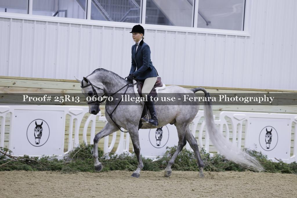 Proof 25R13_06070