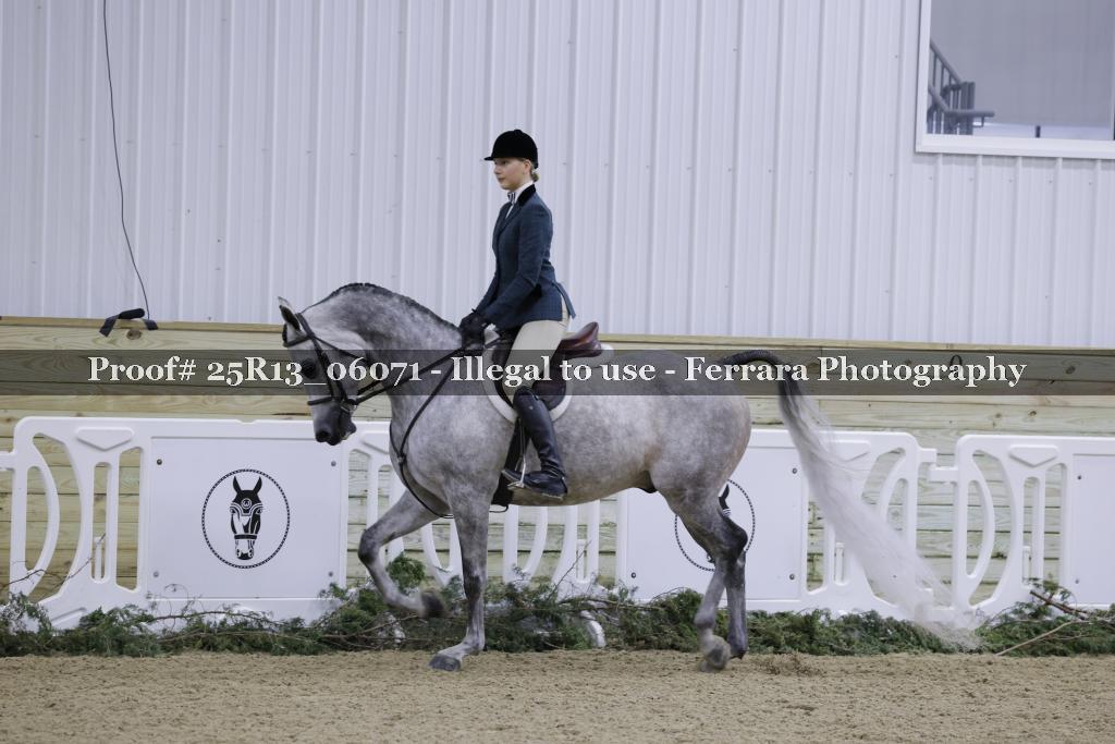 Proof 25R13_06071