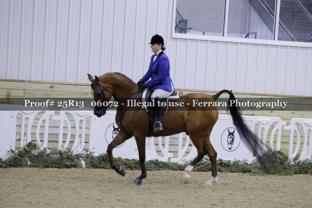 Proof 25R13_06072