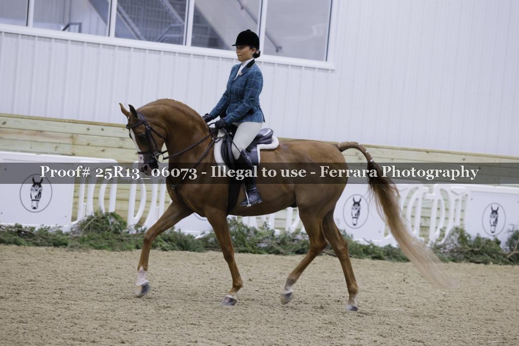 Proof 25R13_06073