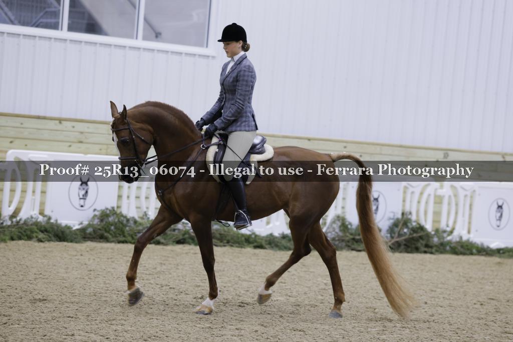 Proof 25R13_06074