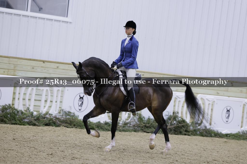 Proof 25R13_06075