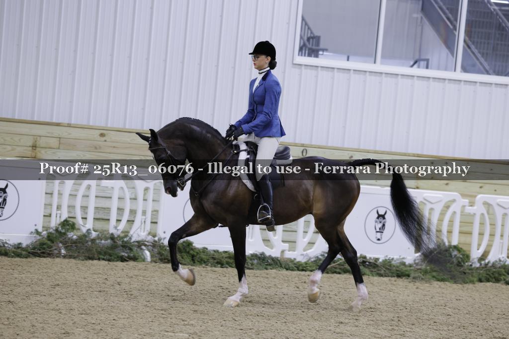 Proof 25R13_06076