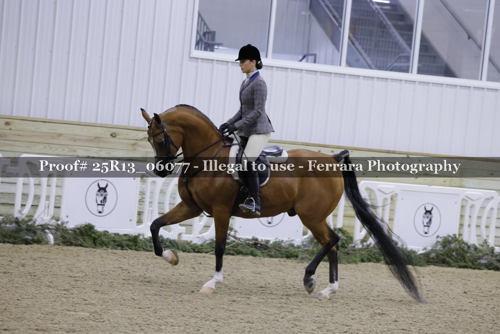 Proof 25R13_06077