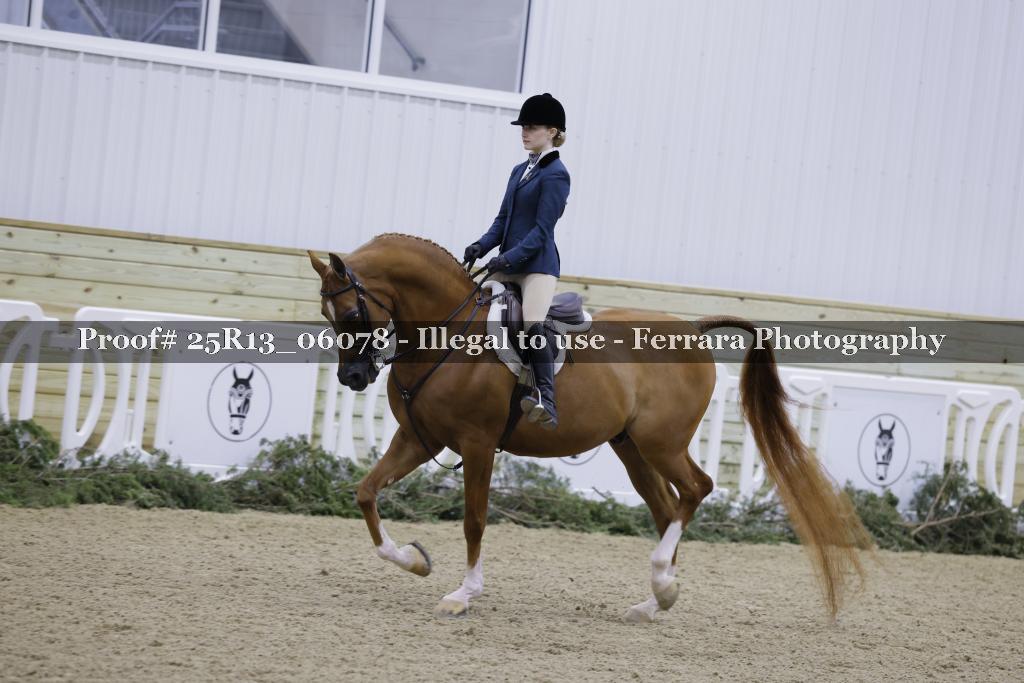 Proof 25R13_06078