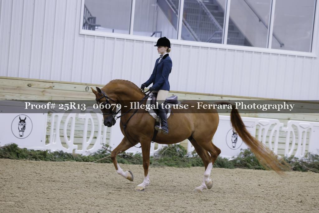 Proof 25R13_06079