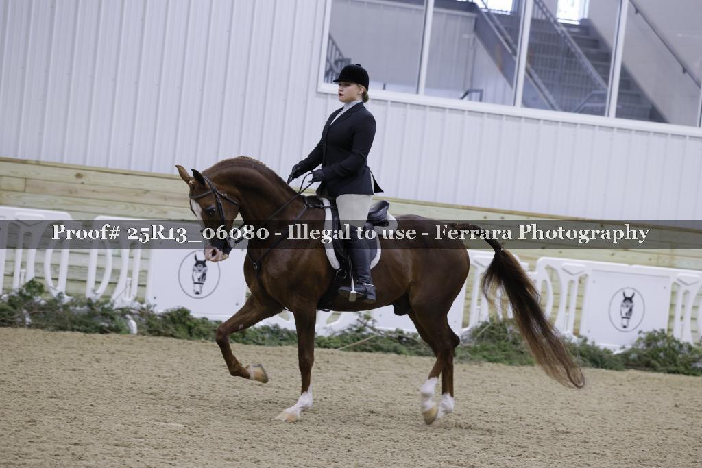 Proof 25R13_06080