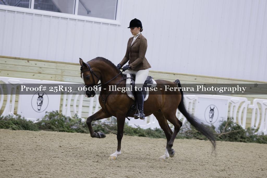 Proof 25R13_06081