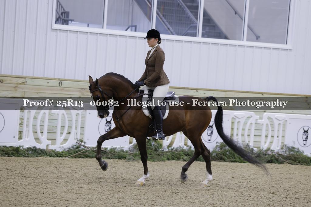 Proof 25R13_06082