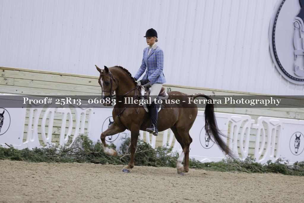 Proof 25R13_06083