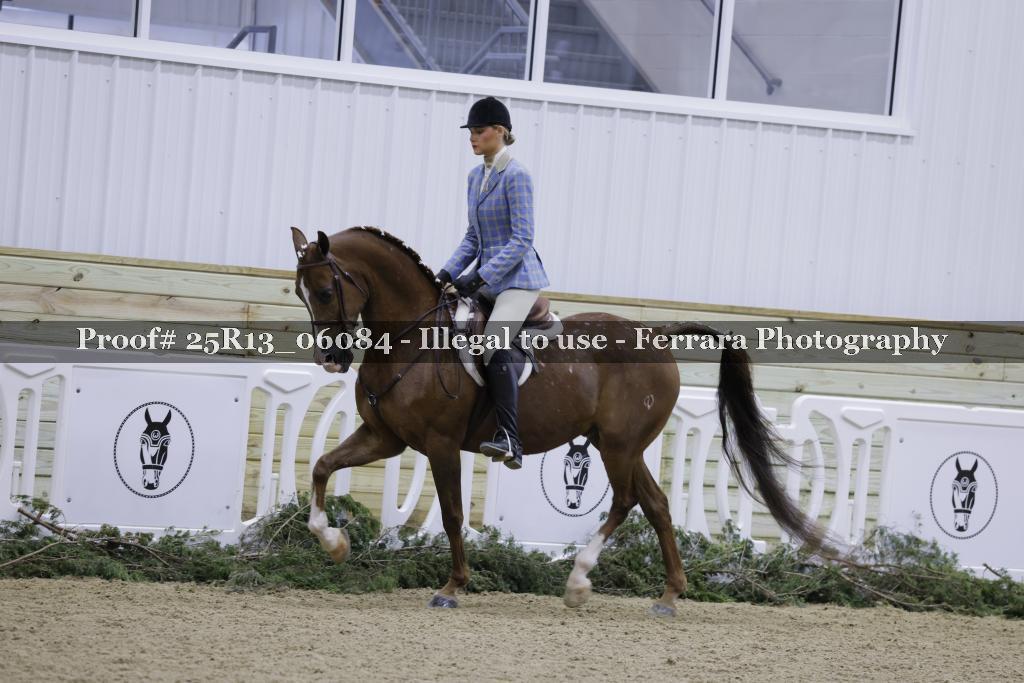 Proof 25R13_06084