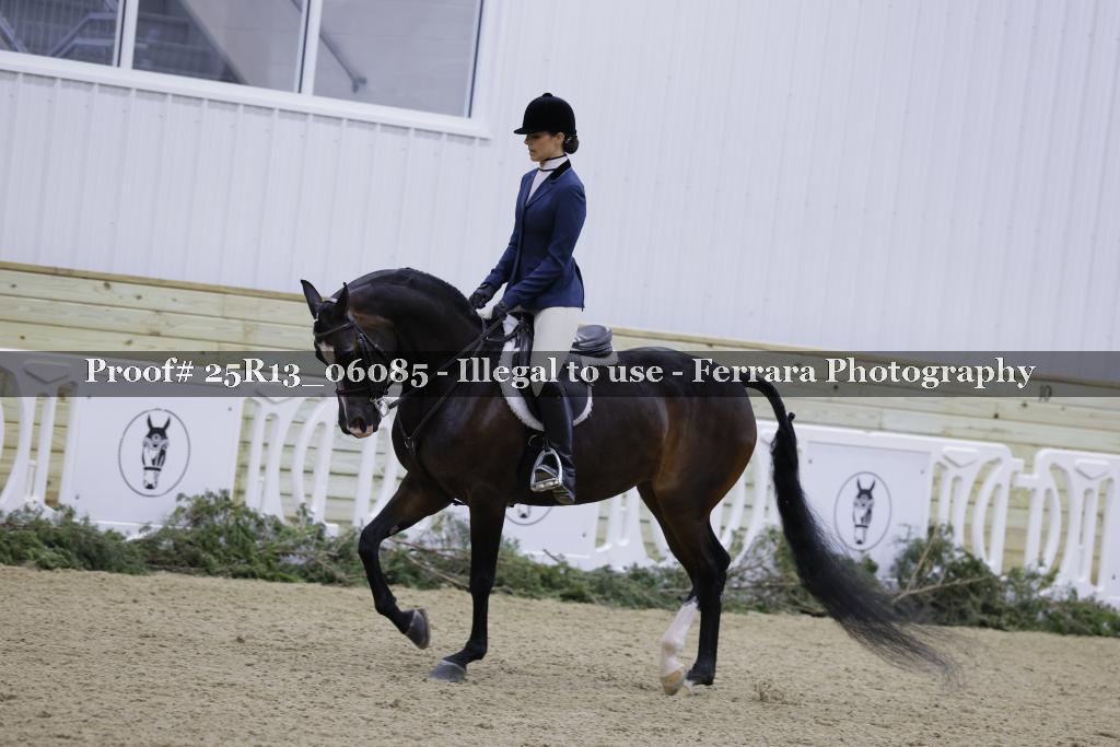 Proof 25R13_06085
