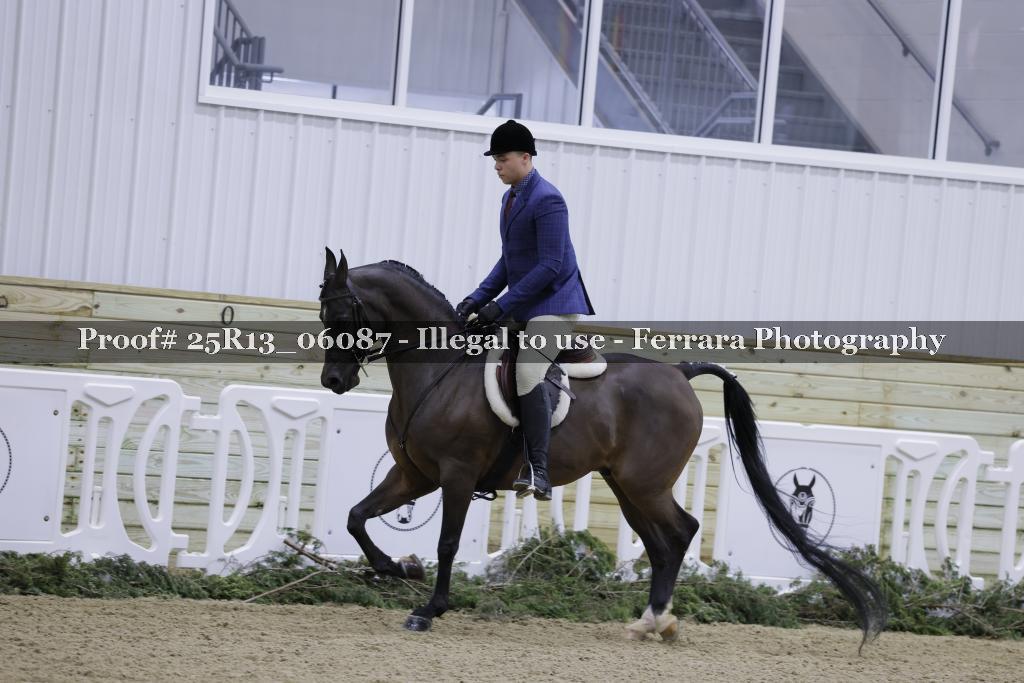 Proof 25R13_06087