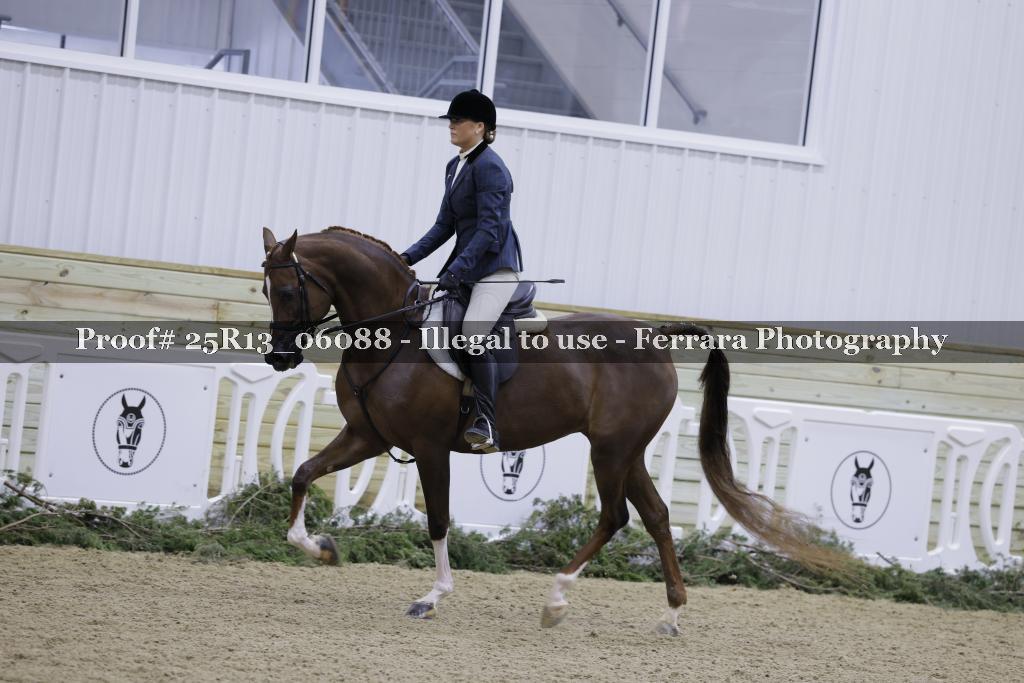 Proof 25R13_06088