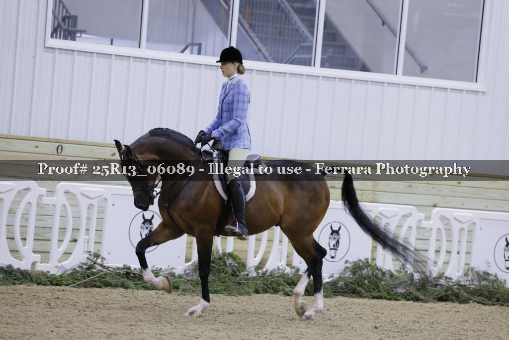 Proof 25R13_06089