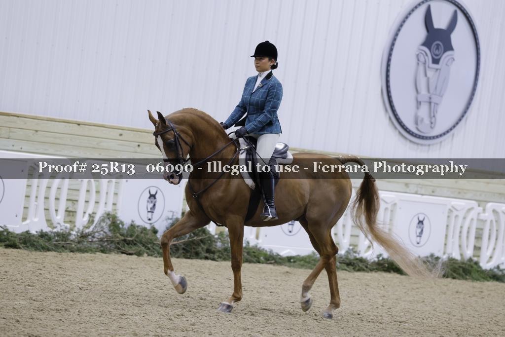 Proof 25R13_06090