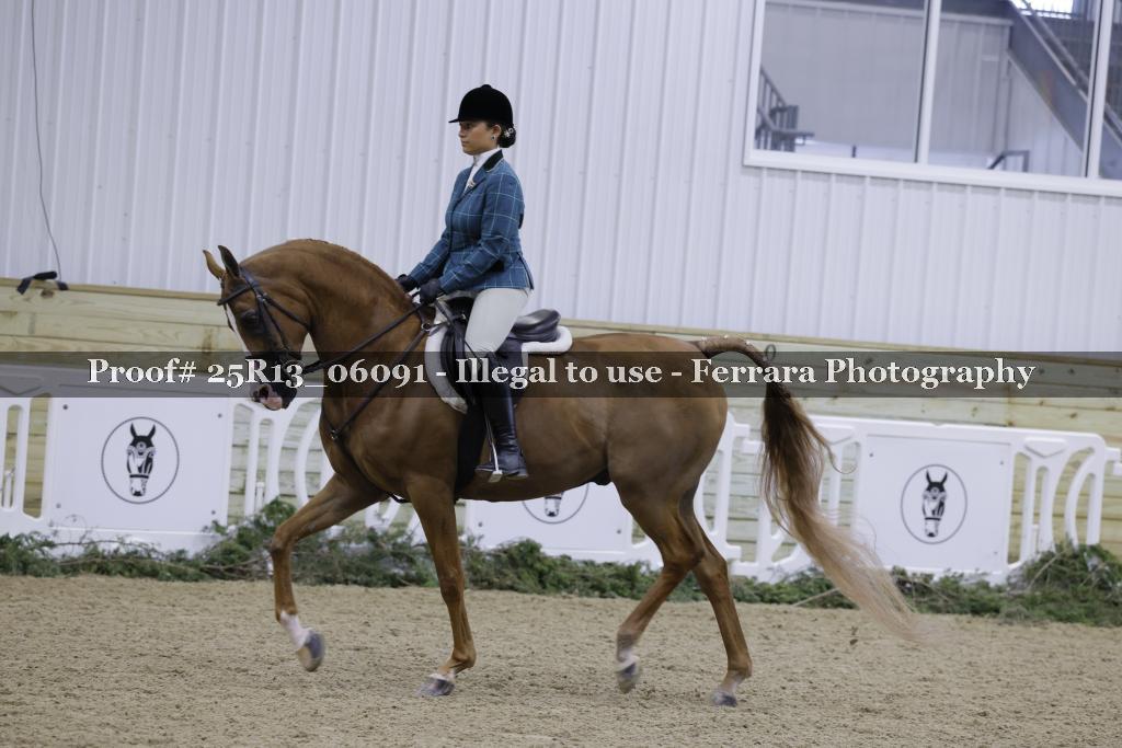 Proof 25R13_06091