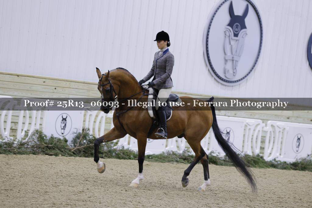 Proof 25R13_06093