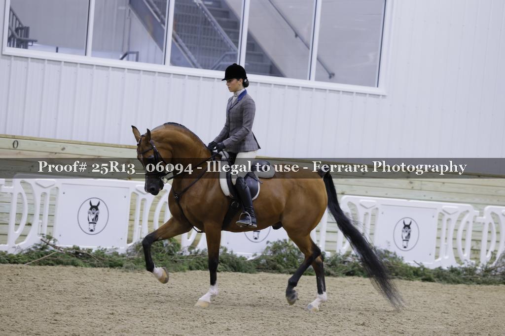 Proof 25R13_06094