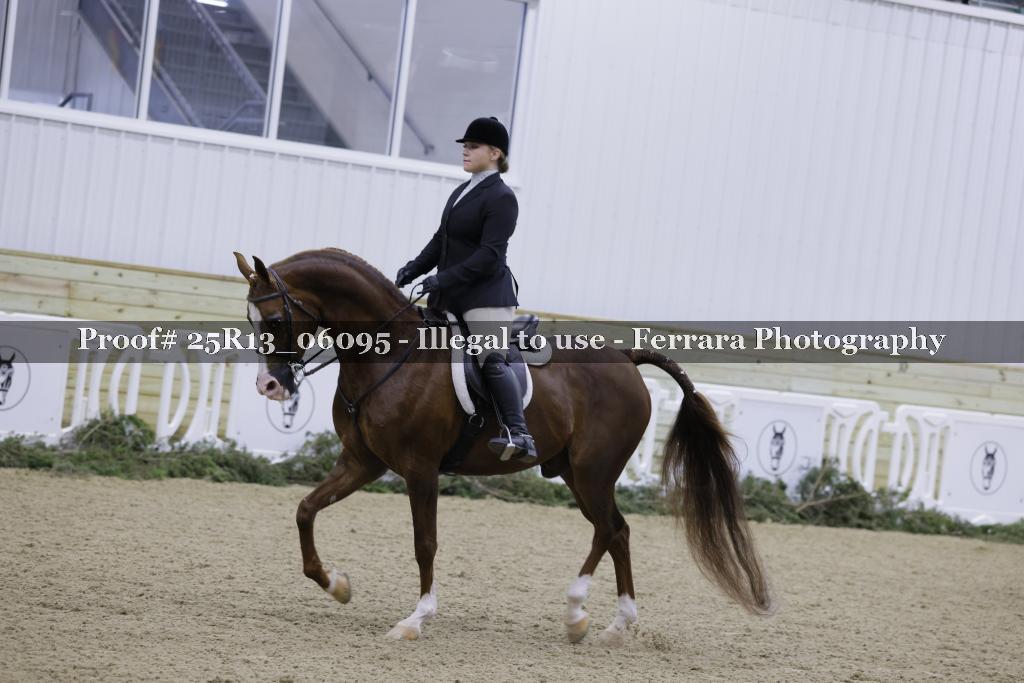 Proof 25R13_06095