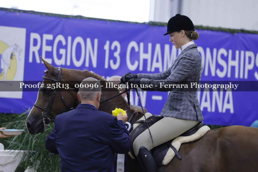Proof 25R13_06096