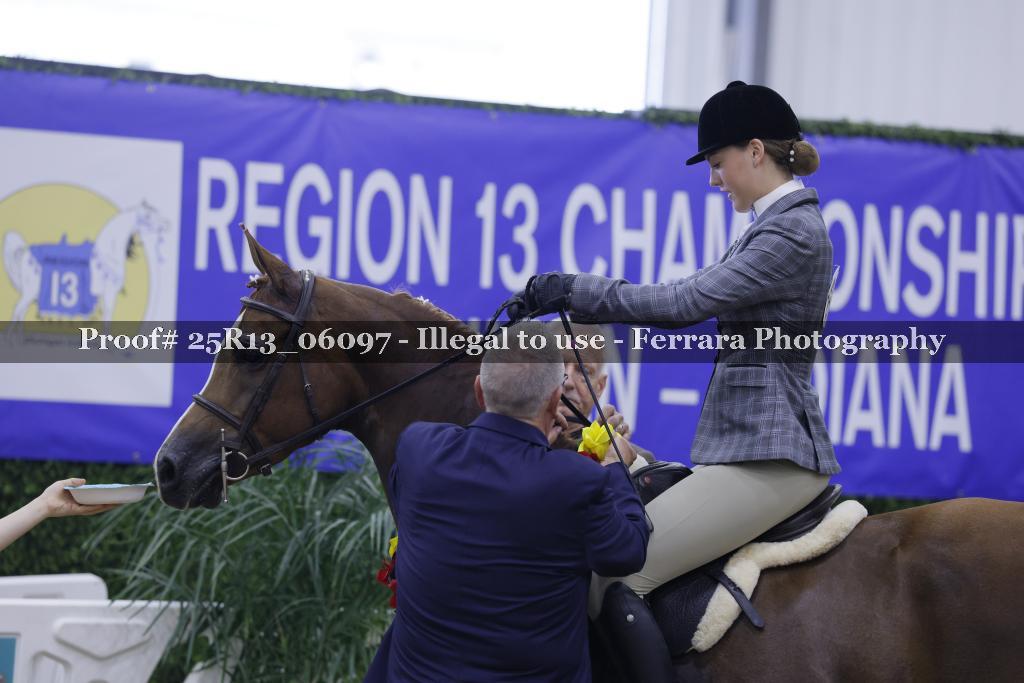 Proof 25R13_06097