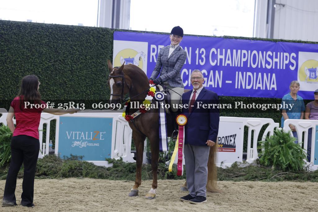 Proof 25R13_06099