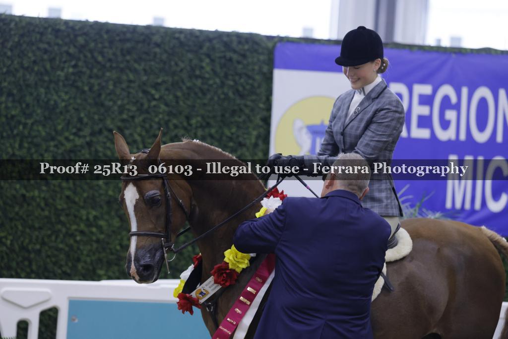 Proof 25R13_06103