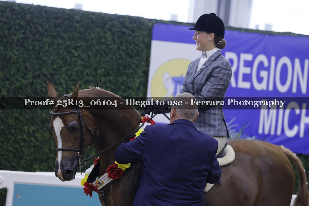 Proof 25R13_06104