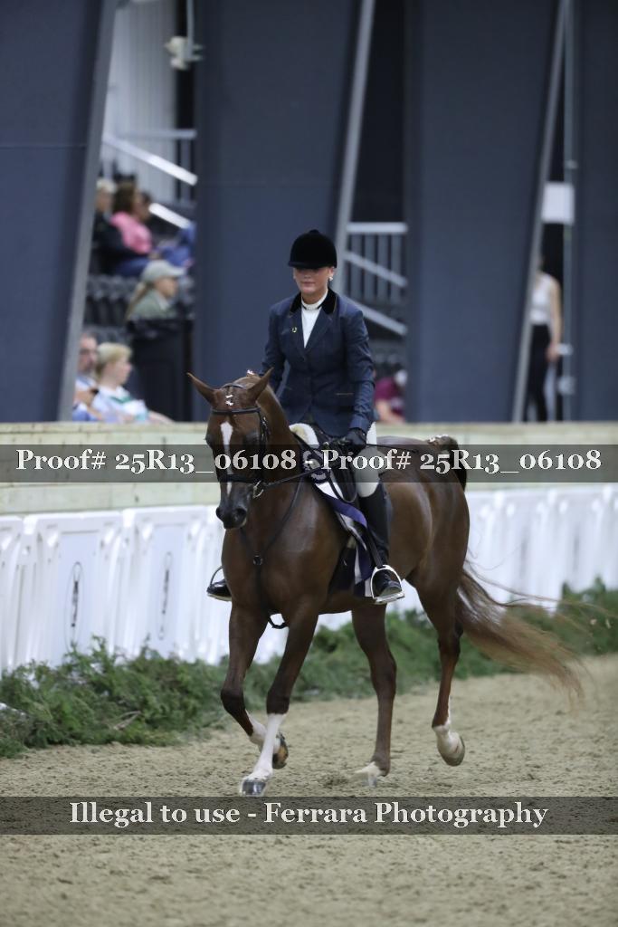 Proof 25R13_06108