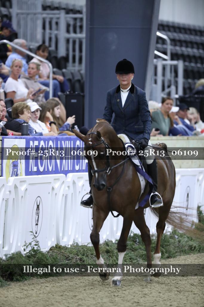 Proof 25R13_06109