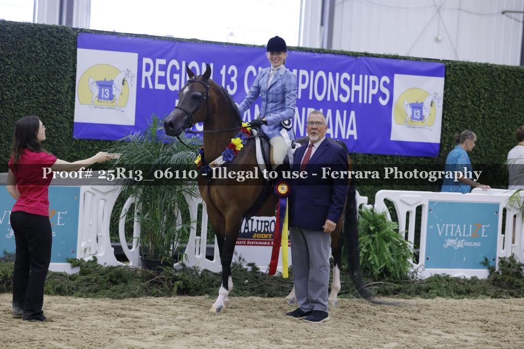 Proof 25R13_06110