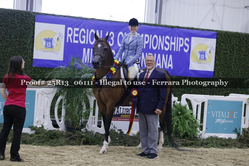 Proof 25R13_06111