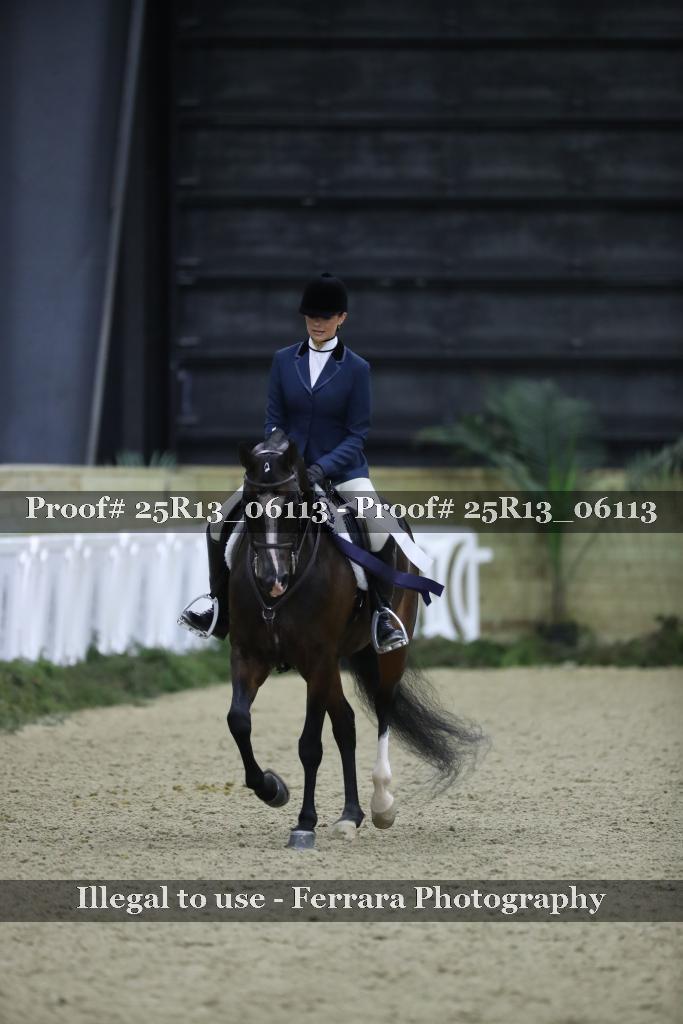 Proof 25R13_06113