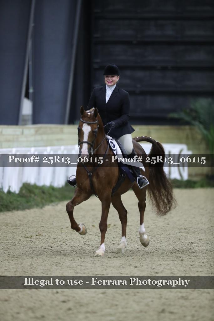 Proof 25R13_06115