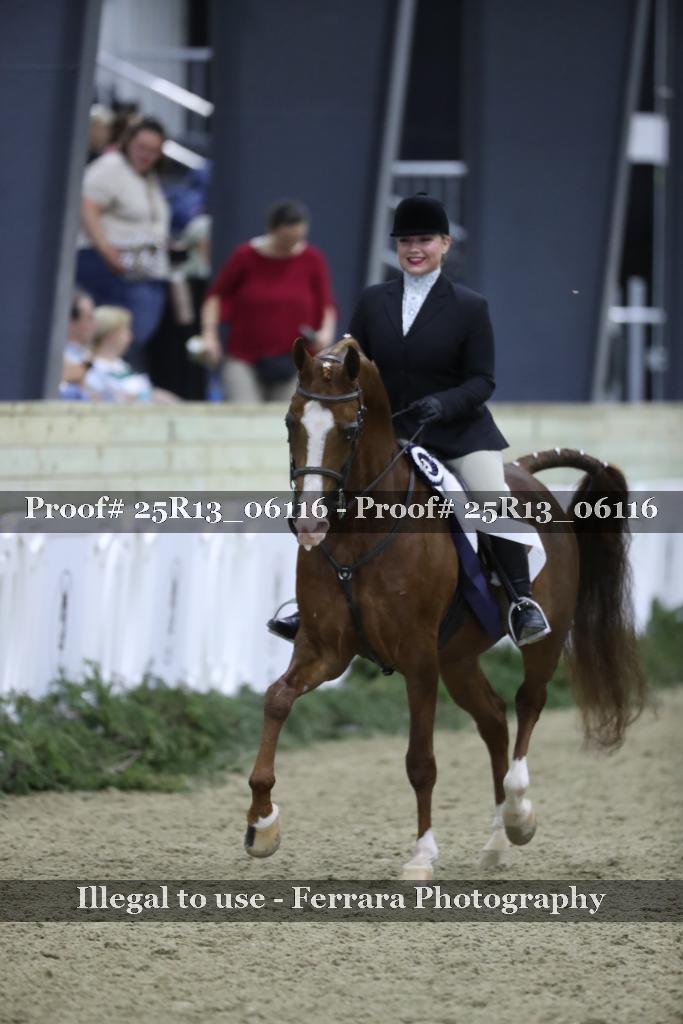 Proof 25R13_06116