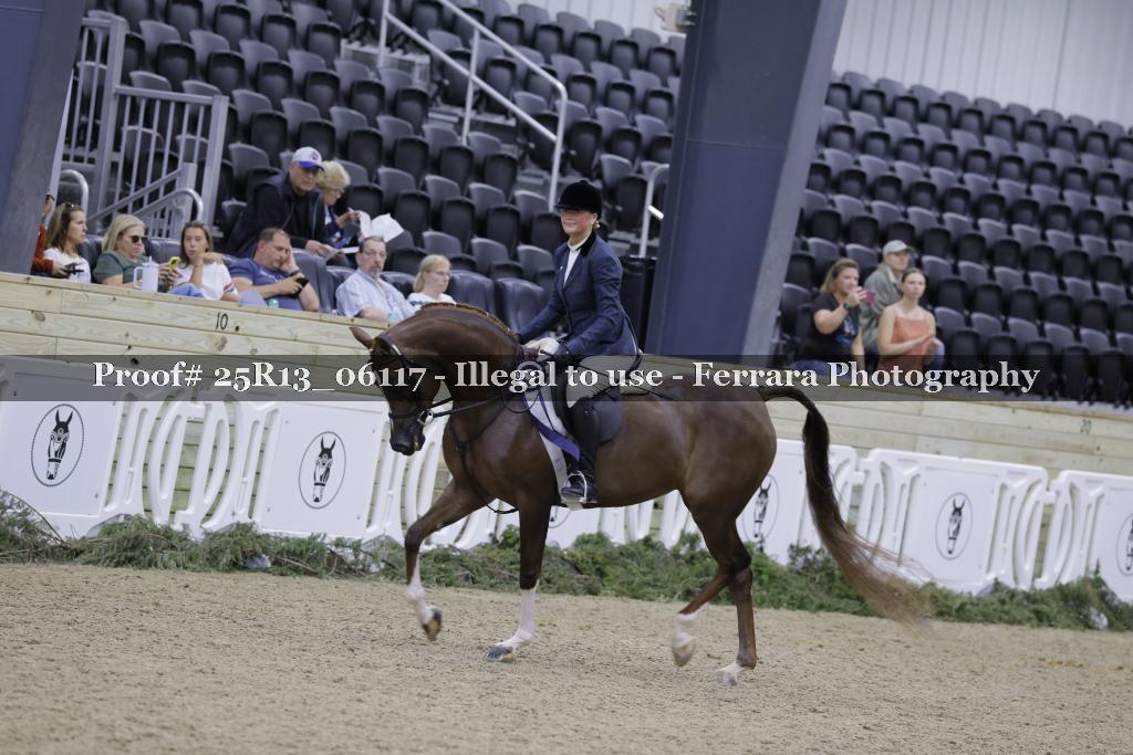 Proof 25R13_06117