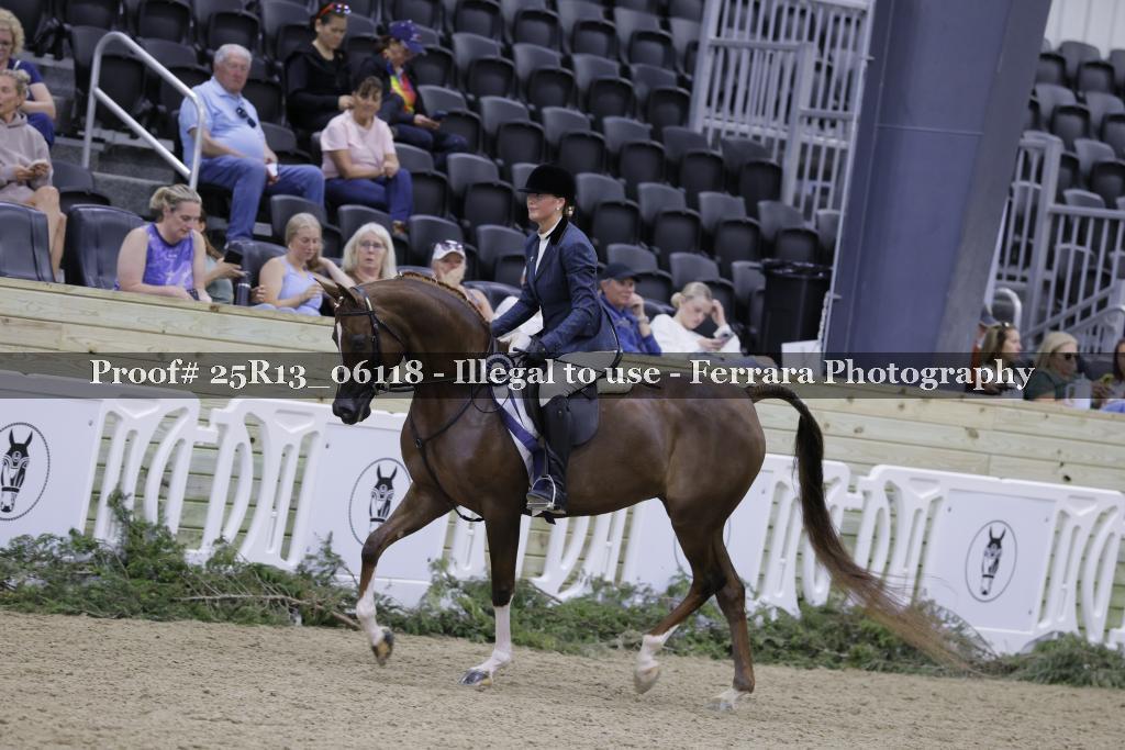 Proof 25R13_06118