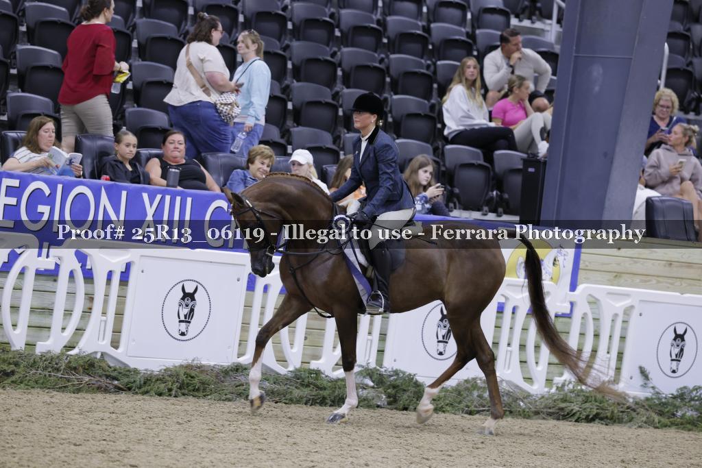 Proof 25R13_06119