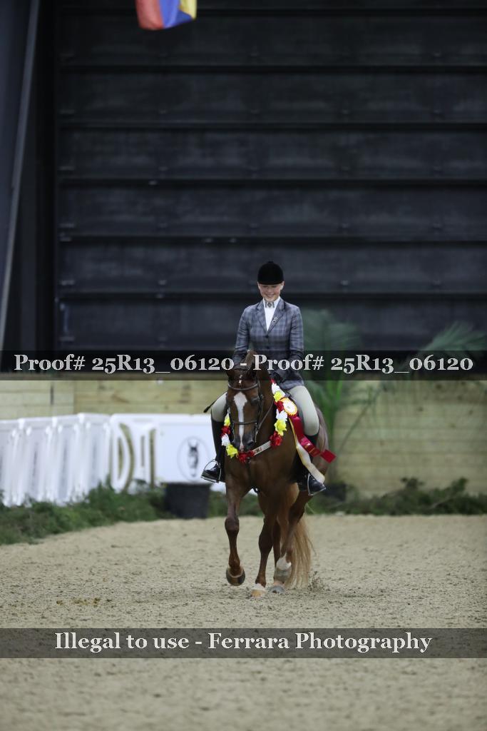 Proof 25R13_06120