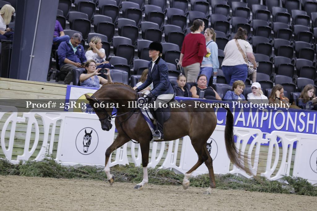 Proof 25R13_06121