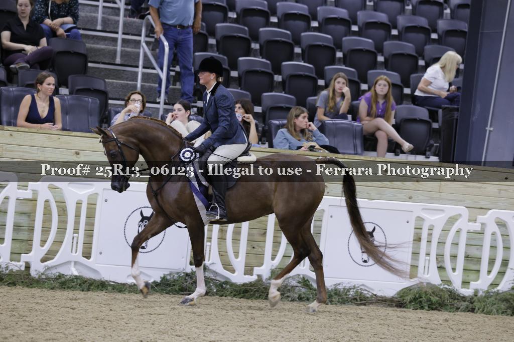 Proof 25R13_06123